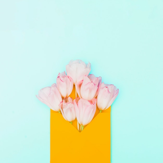 Pink tulip flowers in envelope on table