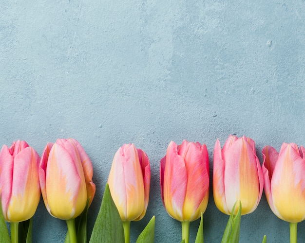 Pink tulips aligned on table