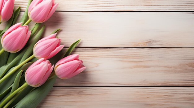 Pink Tulips Laid on a White Rustic Wooden Background