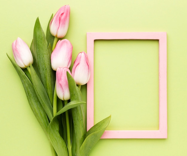 Free photo pink tulips with frame beside