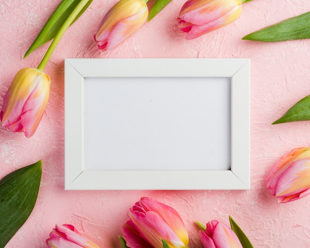 Pink tulips with frame