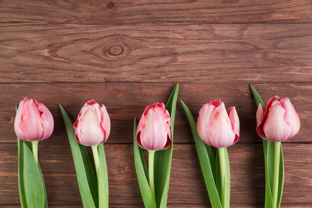 Pink tulips on wooden textured background