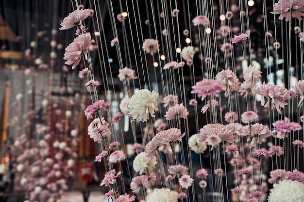 Pink and white chrysanthemums hang on threads from the ceiling