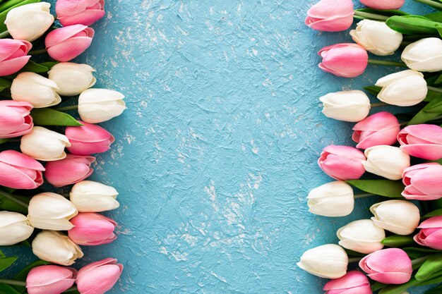 Pink and white tulips on blue grunge background 