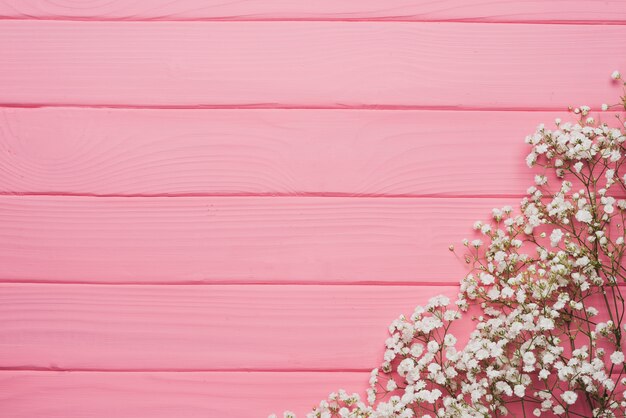 Pink wooden background with floral decoration