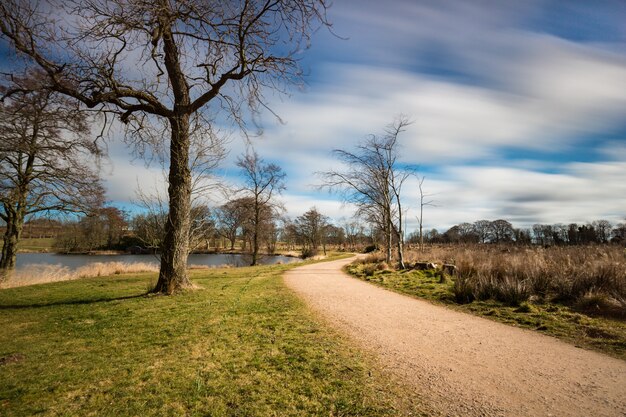 Pitfour Lake