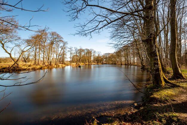 Pitfour Lake