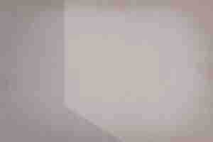 Free photo plain beige background