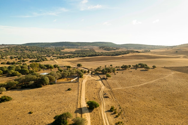 Plain and forest with road taken by drone