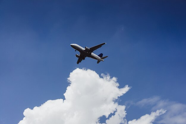 飛行機は青い空を飛んでいます。