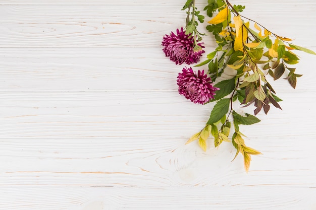 Plant branches with purple flowers on table