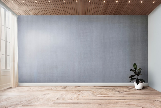 Plant in an empty room with gray wall