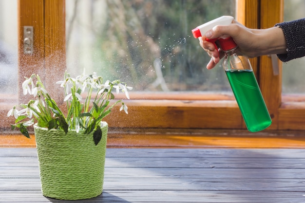 Plant and garden still life