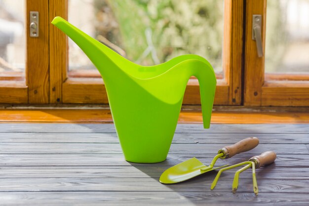 Plant and garden still life