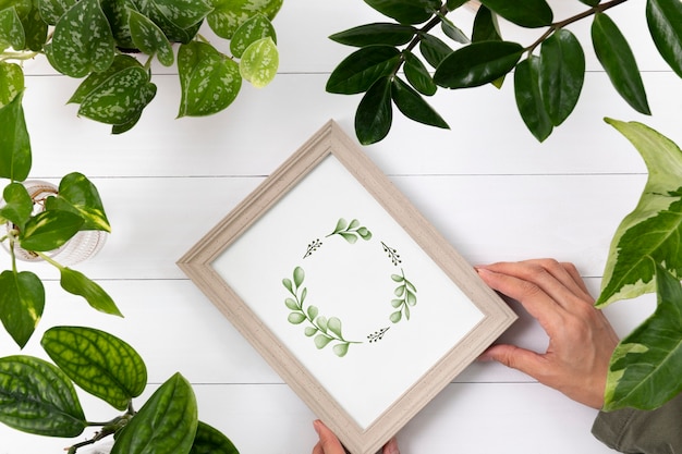 Free photo plant graphics on picture frame in plant background