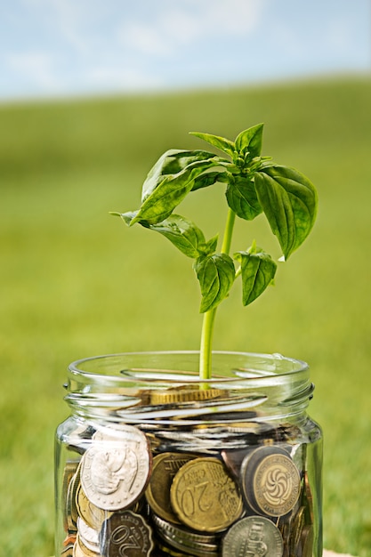 Foto gratuita pianta che cresce in barattolo di vetro di monete per soldi su erba verde