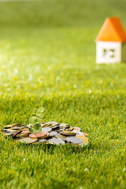 Plant growing in Coins glass jar for money on green grass