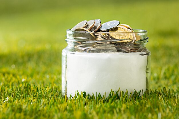 Plant growing in Coins glass jar for money on green grass