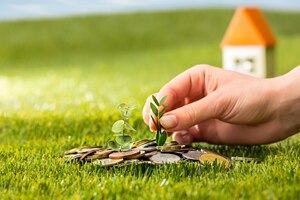 Plant growing in coins glass jar for money on green grass