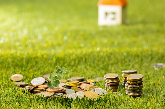 Free photo plant growing in coins glass jar for money on green grass