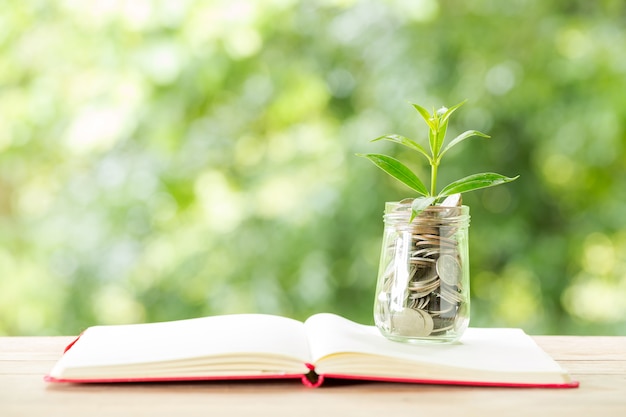 Plant growing from coins in the glass jar on blurred nature