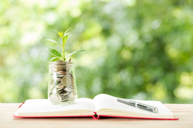 Free photo plant growing from coins in the glass jar on blurred nature