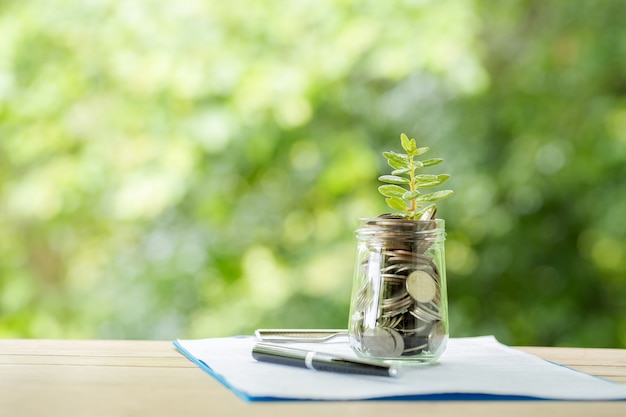 Plant growing from coins in the glass jar on blurred nature