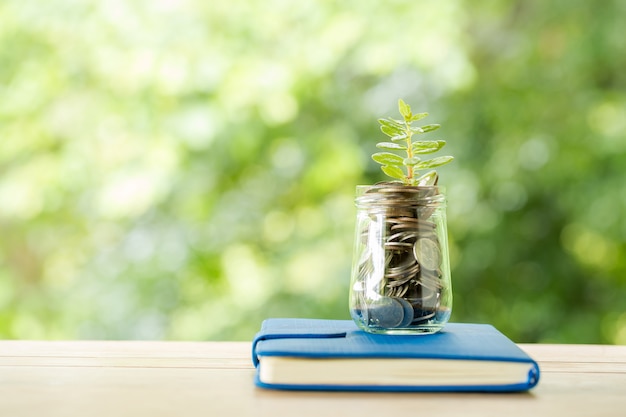 Plant growing from coins in the glass jar on blurred nature