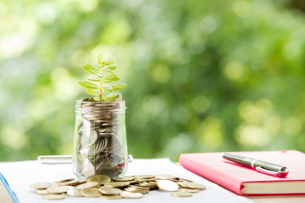 Plant Growing In Savings Coins