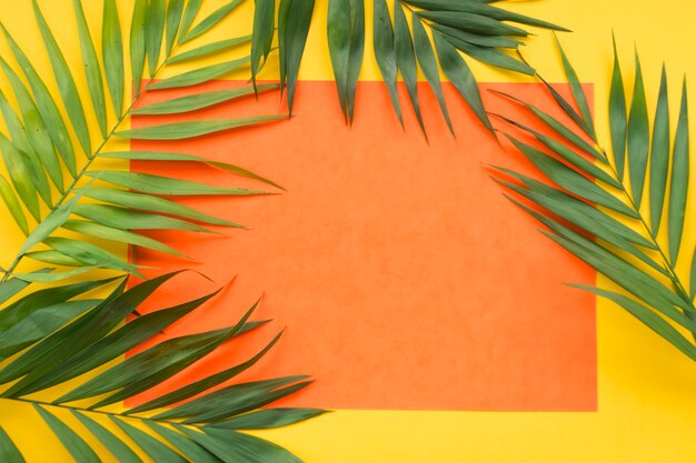 Plant leaves on the blank orange paper frame over the yellow background