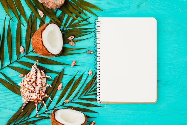 Plant leaves and coconuts near seashells with notebook