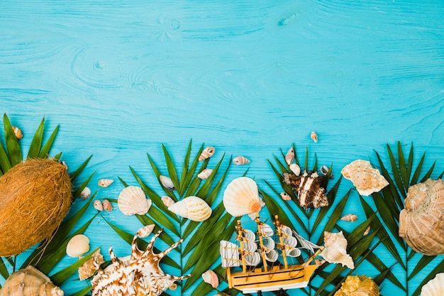 Plant leaves near fresh coconuts and seashells with toy ship