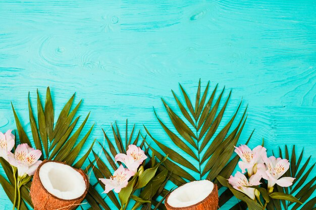 Plant leaves with fresh coconuts and blooms