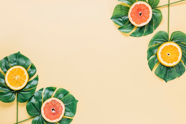 Free photo plant leaves with sliced citruses