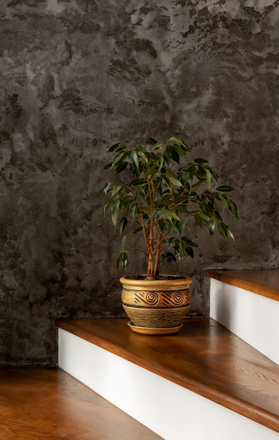 Бесплатное фото Растение на лестнице дизайн интерьера