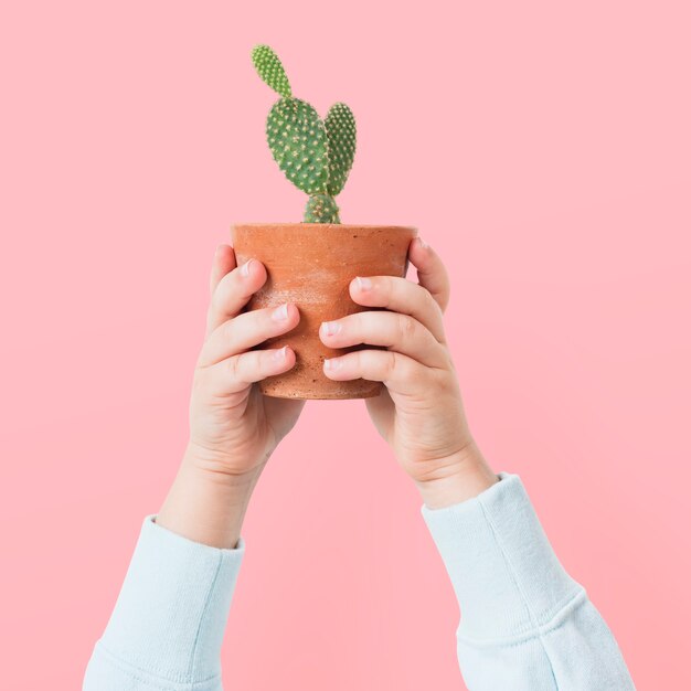 Plant parent holding potted cactus