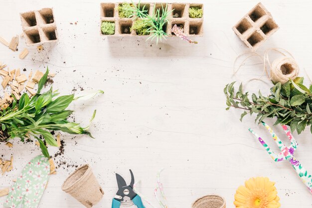 Plant; peat pot; rake; string; showel; flower; peat tray and pruner on wooden backdrop