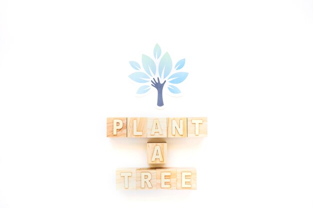 Посадите дерево и дерево бумаги