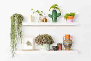 Free photo plant wall shelf indoor home decor