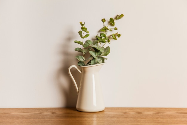 Plant on wooden surface