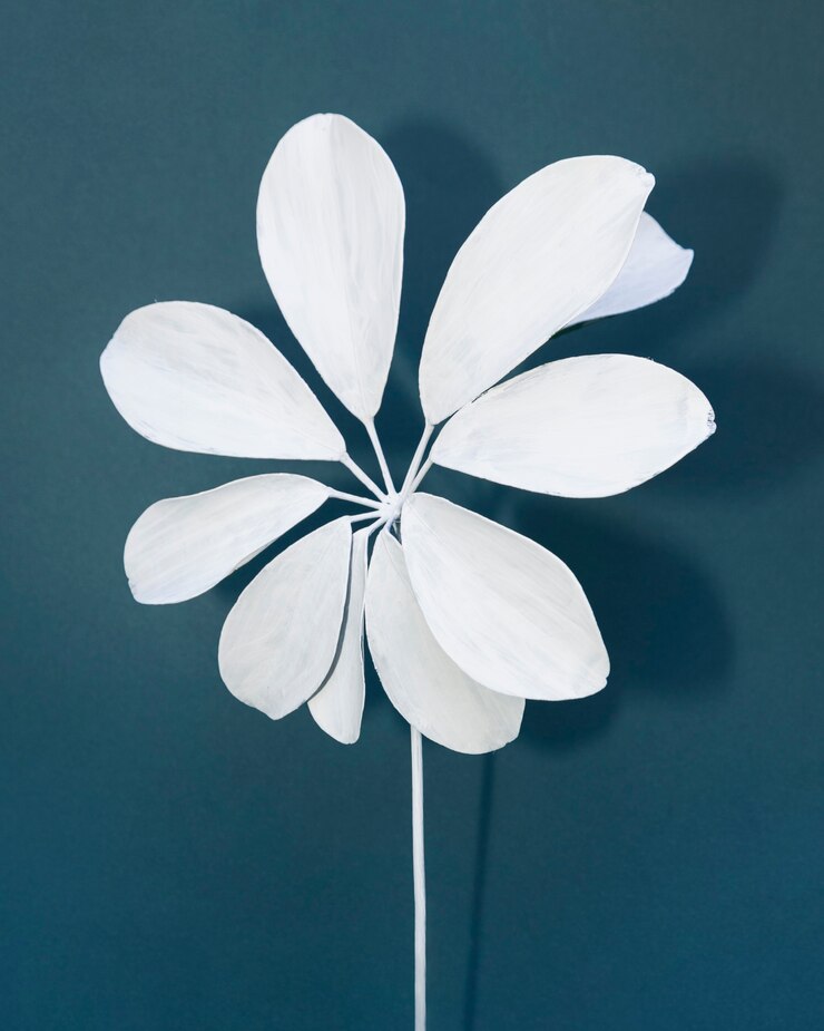 Free Photo plant