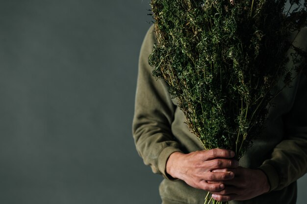 Planters hold cannabis trees on a gray background.