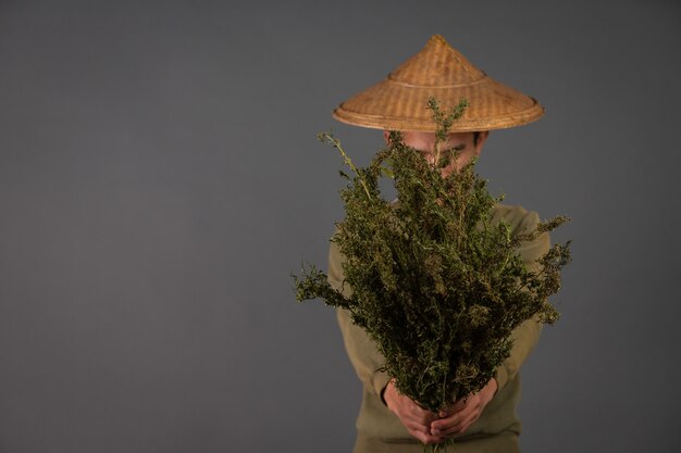 Planters hold cannabis trees on a gray background.