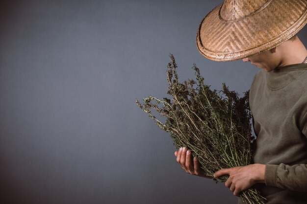 Planters hold cannabis trees on a gray background.