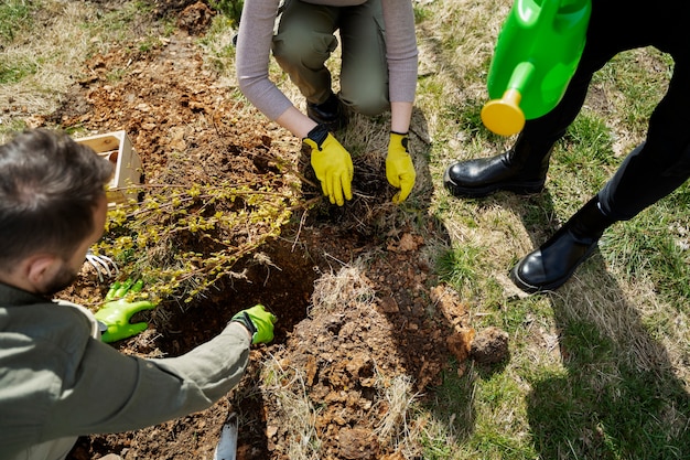 Planting trees as part of reforestation process