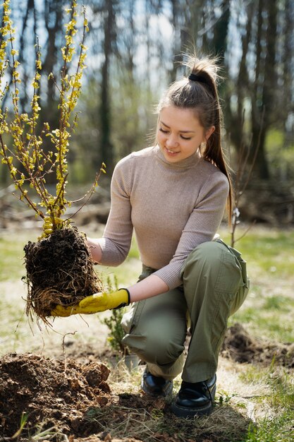 Planting trees as part of reforestation process