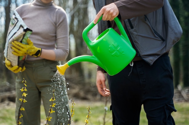 Planting trees as part of reforestation process