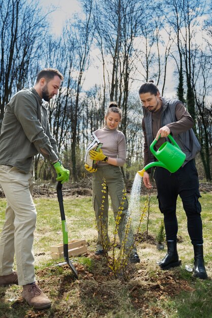 Planting trees as part of reforestation process