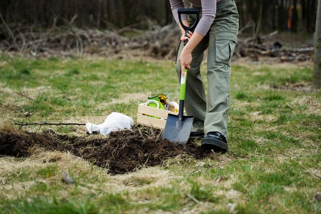 Planting trees as part of reforestation process