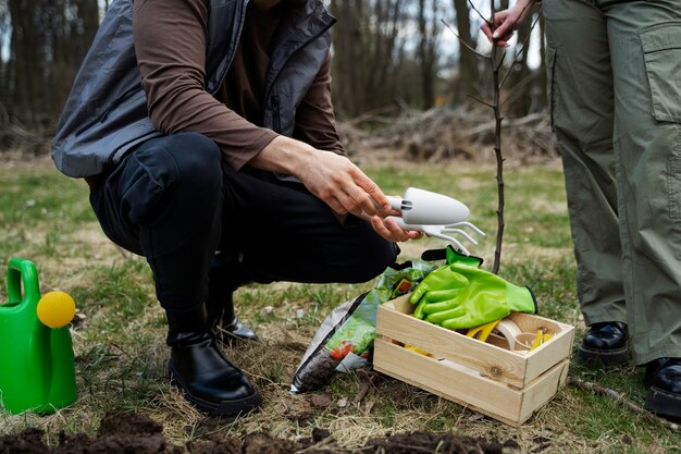 Planting trees as part of reforestation process